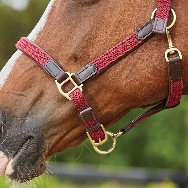 Kincade Braided Leather Headcollar #colour_maroon