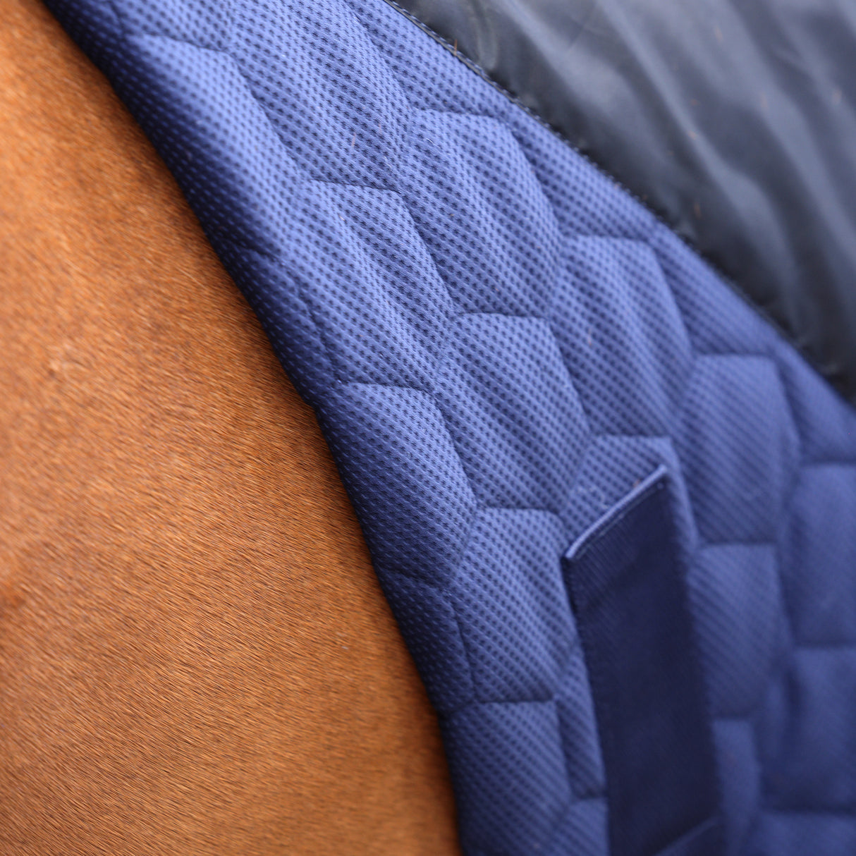 Shires Deluxe Quilted Show Rug #colour_navy