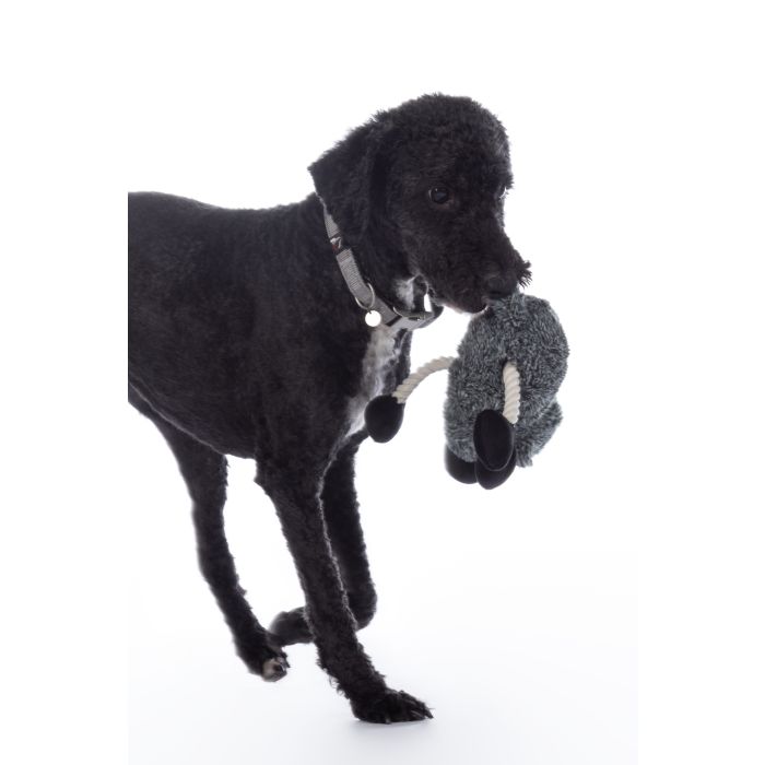 HKM Dog Toy -Buddy Sheep- #colour_grey/black