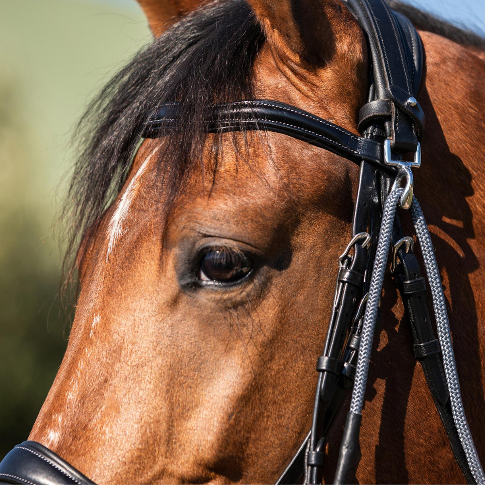 Acavallo Gogue Calfskin & Nylon #colour_black