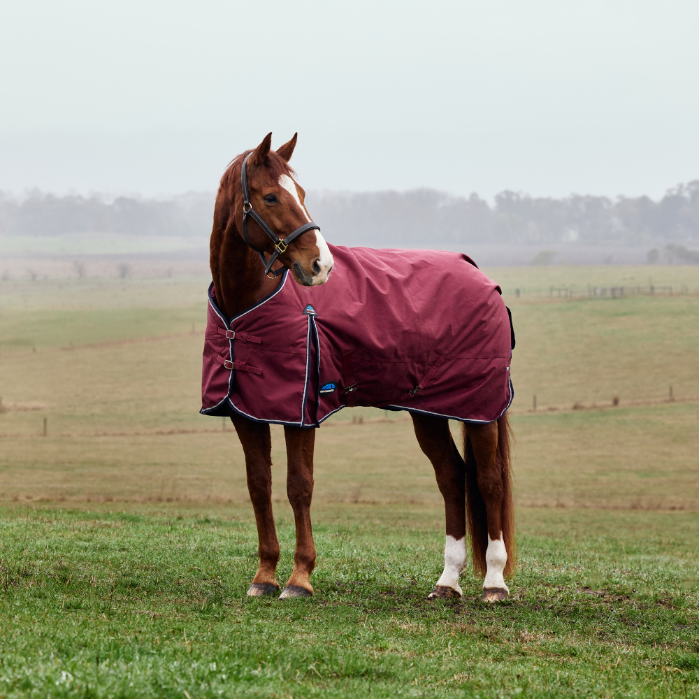 Weatherbeeta Comfitec Prelim 0G Turnout #colour_burgundy-navy