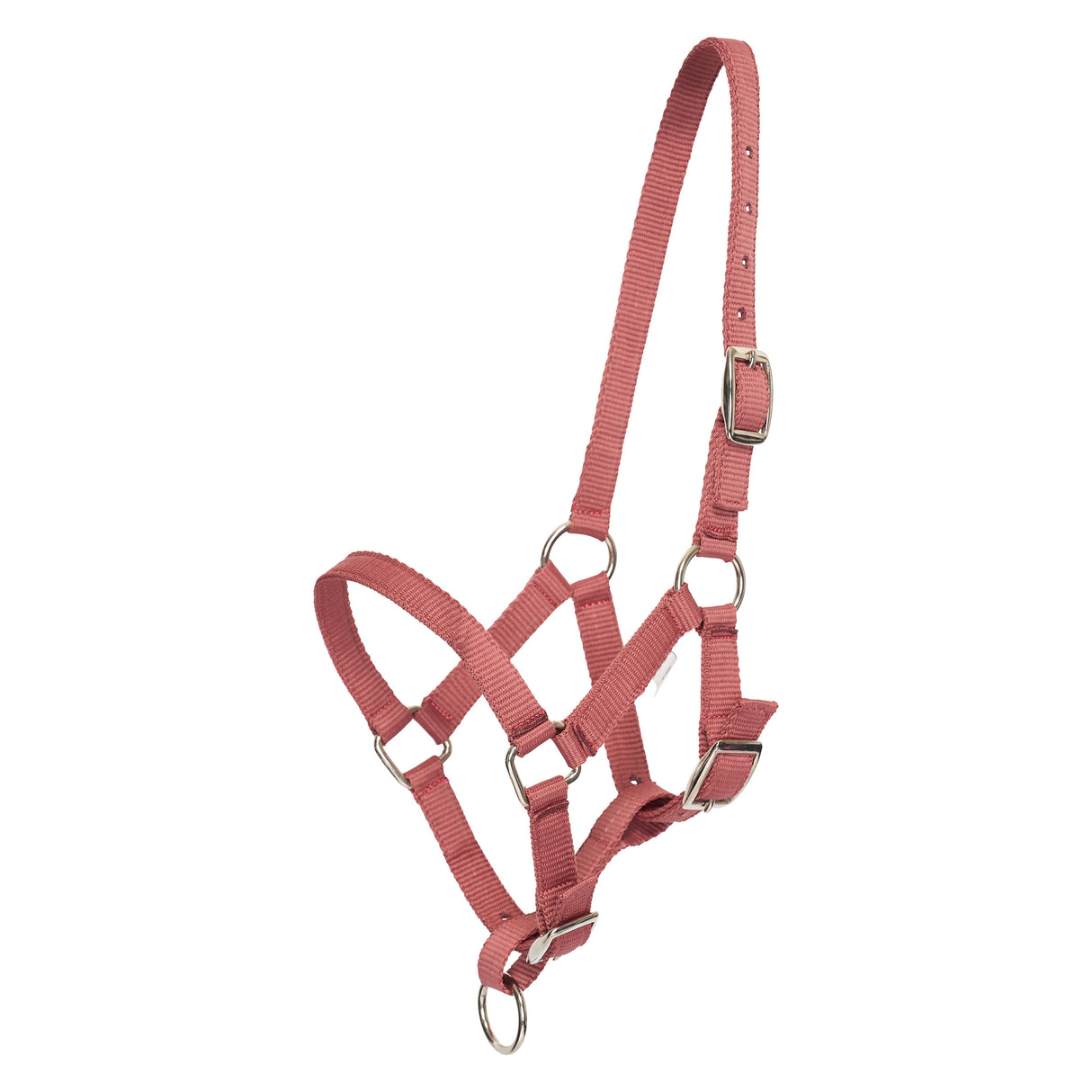 HV Polo Nena Foal Headcollar #colour_blush
