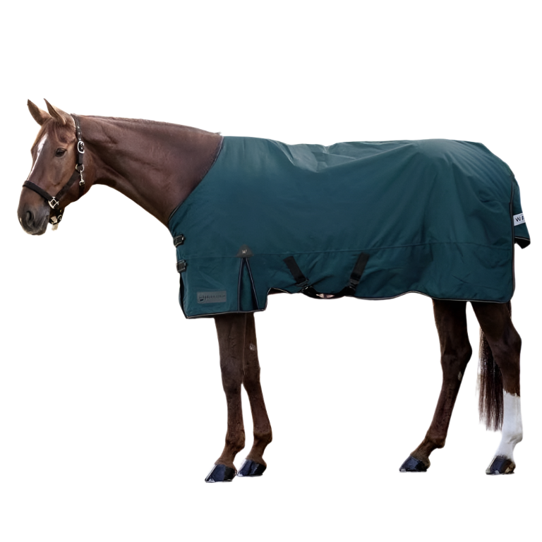 Waldhausen Arctic 100g Turnout Rug #colour_petrol-blue