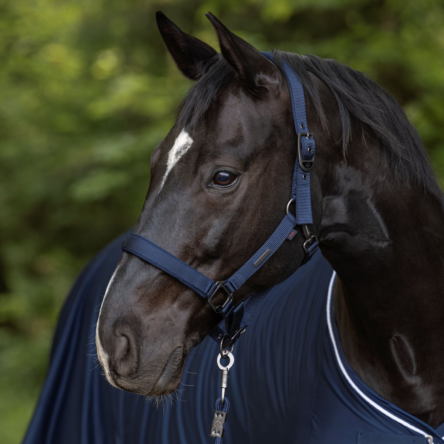 Covalliero Headcollar #colour_dark-navy