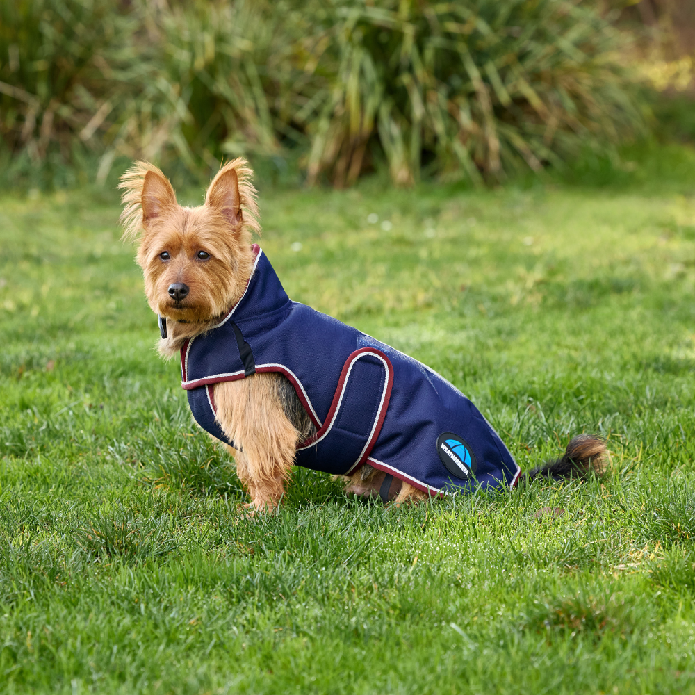 Weatherbeeta Comfitec Premier Deluxe Waterproof Dog Coat #colour_navy-burgundy