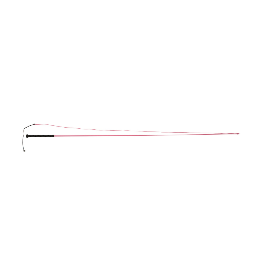 Dublin Brights Lunge Whip #colour_hot-pink