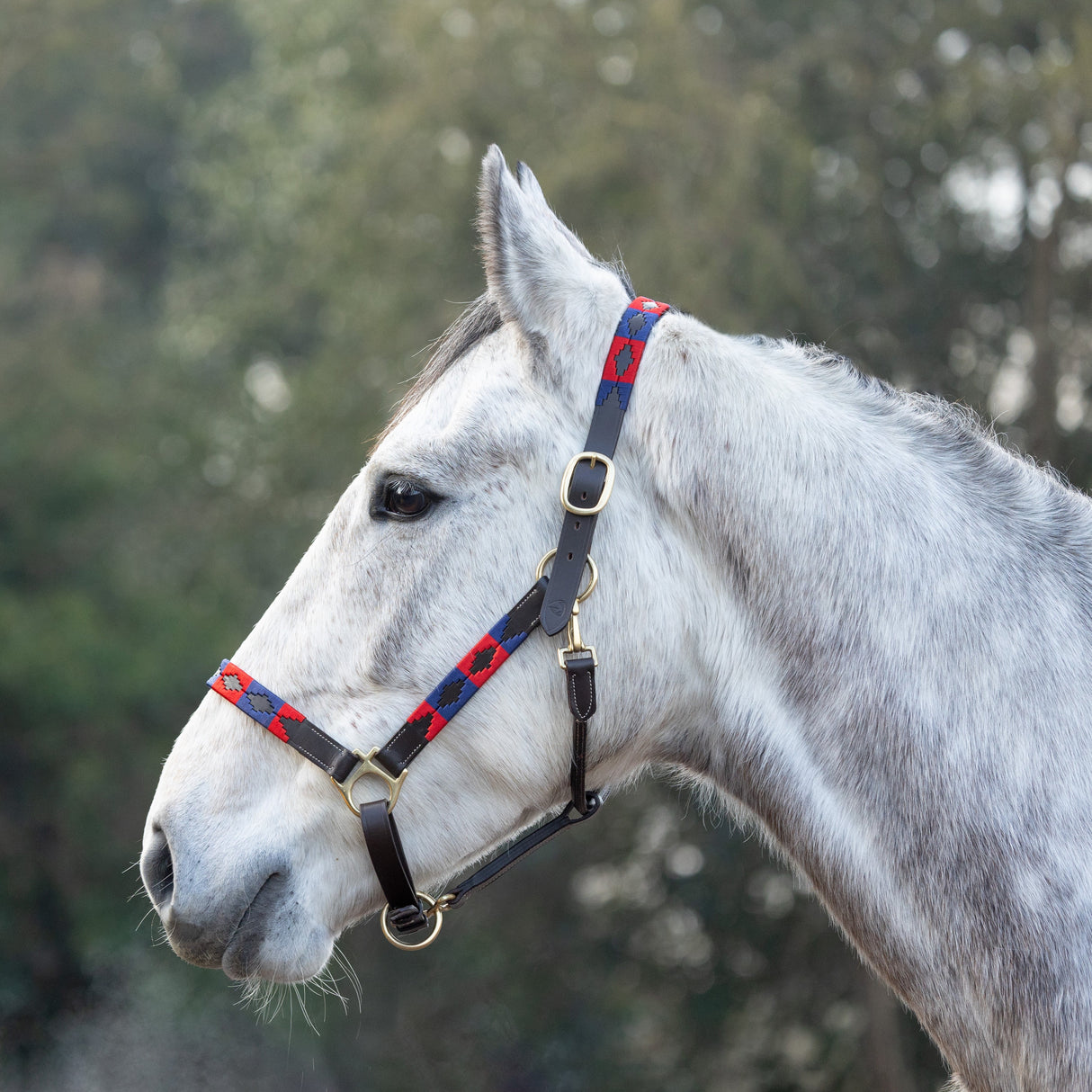 Hy Equestrian Polo Leather Head Collar #colour_navy-red
