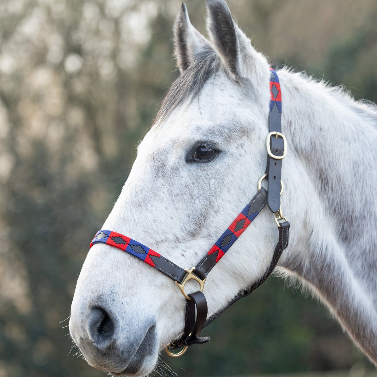 Hy Equestrian Polo Leather Head Collar #colour_navy-red