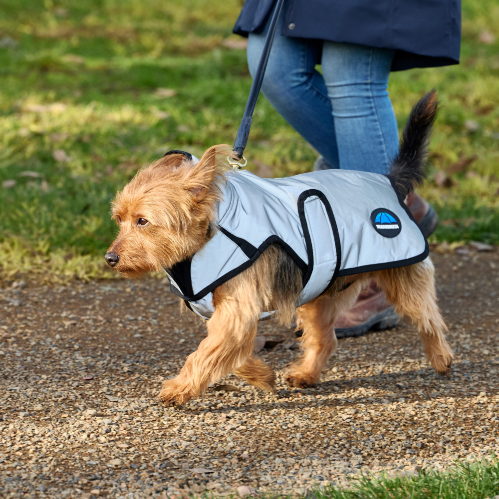 Weatherbeeta Comfitec Reflective Showerproof Dog Coat #colour_silver