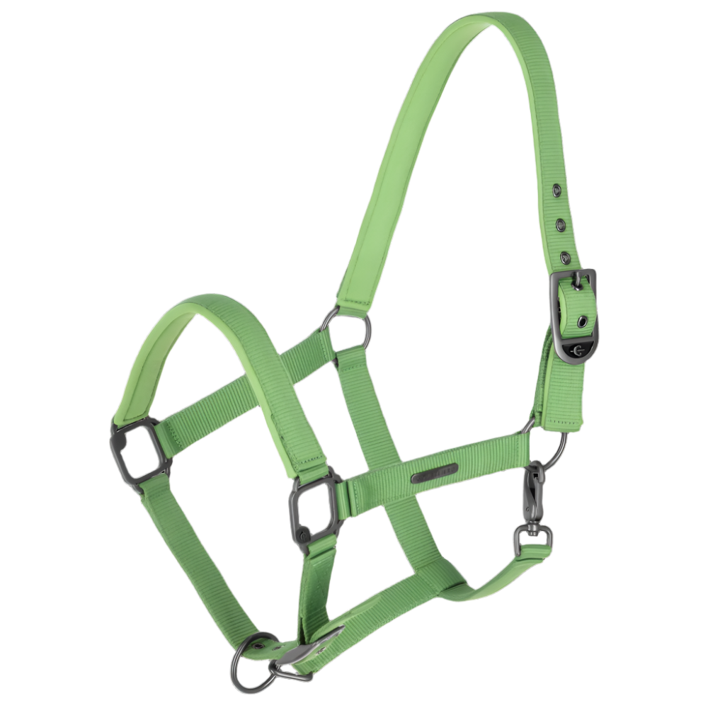 Covalliero Headcollar #colour_green
