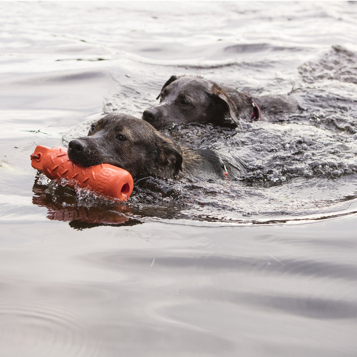 KONG Trainingspuppe