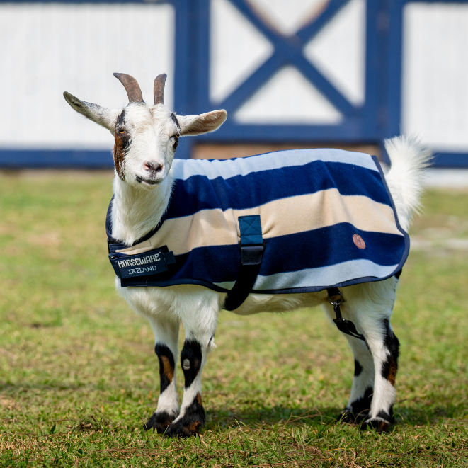 Horseware Ireland Newmarket Goat Fleece #colour_whitney-navy