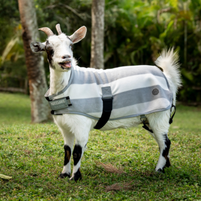 Horseware Ireland Newmarket Goat Fleece #colour_whitney-charcoal