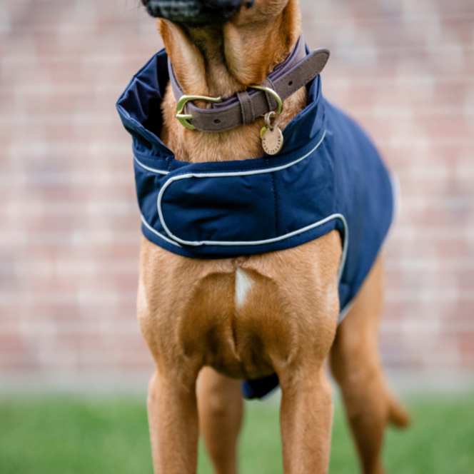 Horseware Ireland Signature 100g Dog Rain Coat #colour_navy