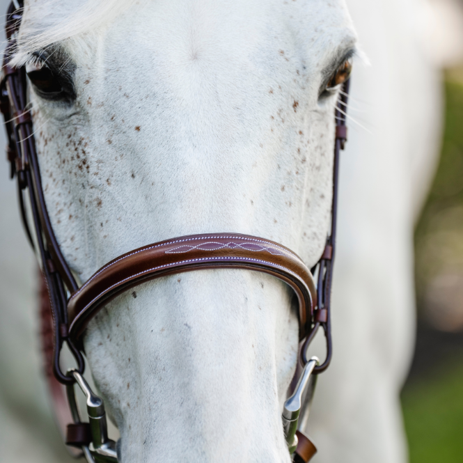 Horseware Ireland Pony Hunter Cavesson Bridle with Reins #colour_dark-tan