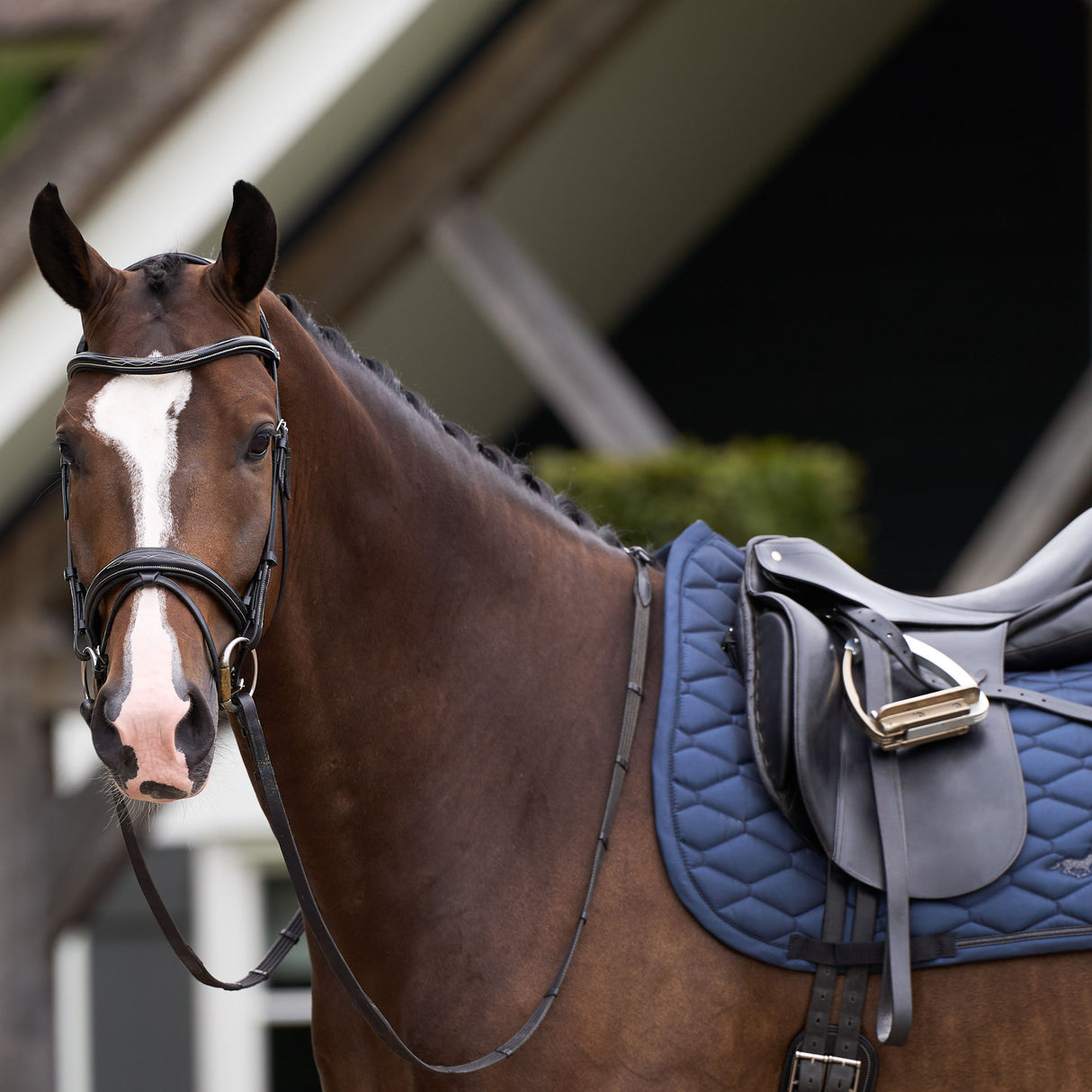 HV Polo Joan Dressage Saddle Pad #colour_navy