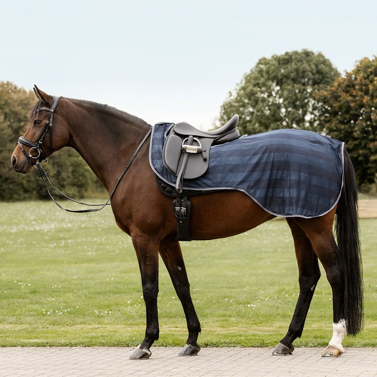 Waldhausen Economic Fly-Exercise Sheet #colour_navy