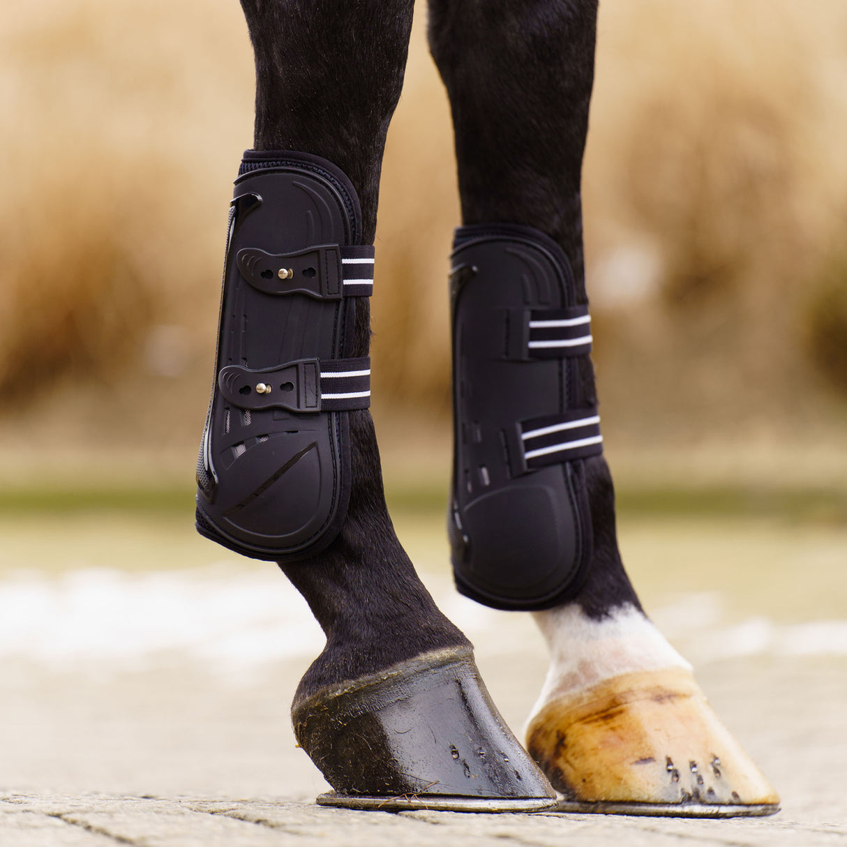 Imperial Riding Pro Mesh Tendon Boots #colour_black