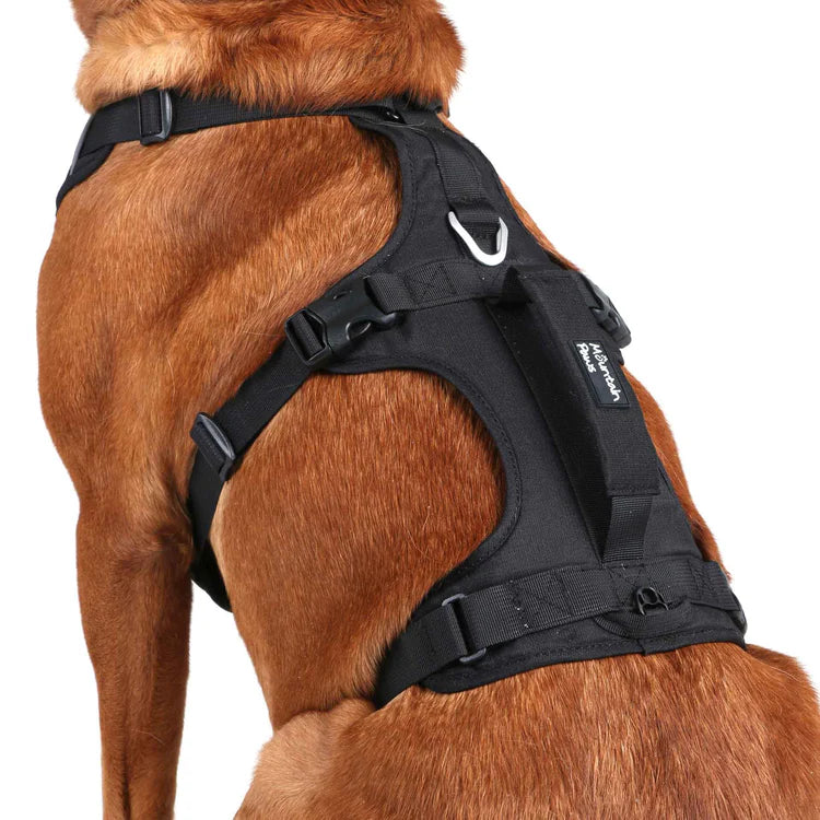 Mountain Paws 3-Strap Dog Harness #colour_black