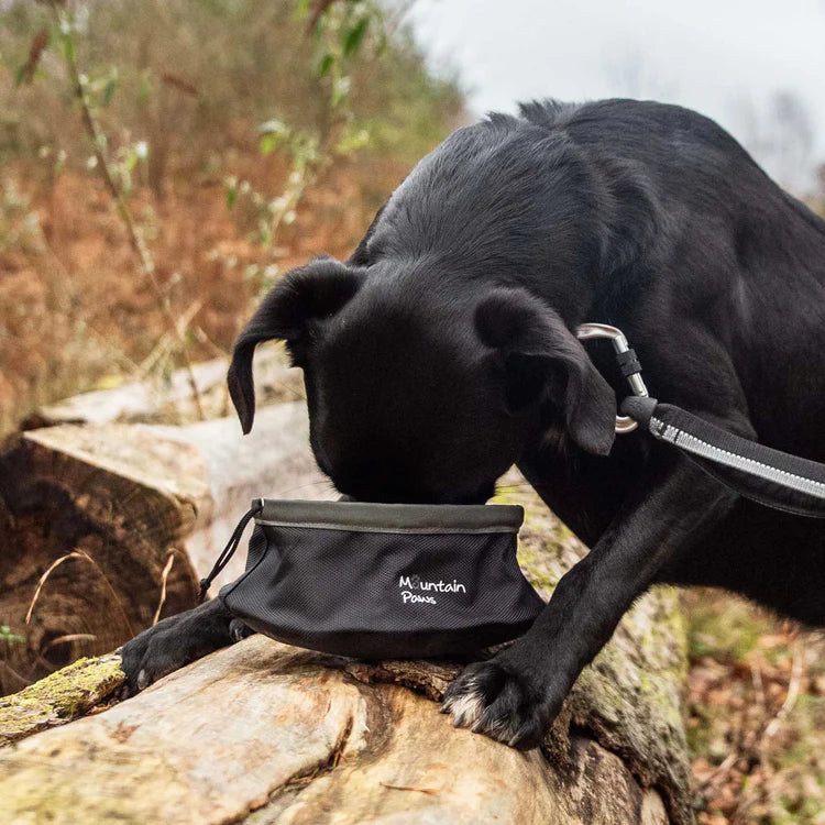 Mountain Paws Collapsible Dog Food Bowl #colour_black