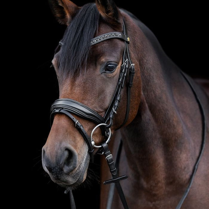 Waldhausen S-Line Patent Blackshine Bridle #colour_black