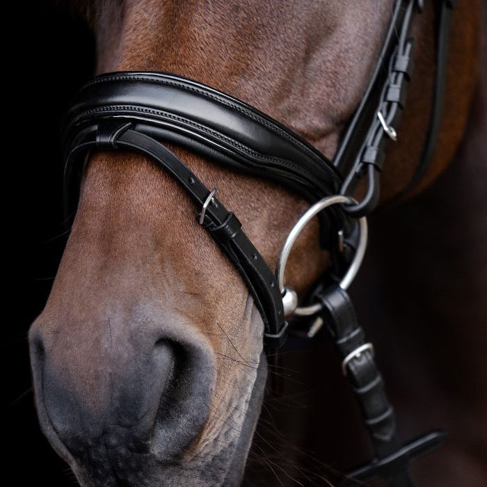 Waldhausen S-Line Patent Blackshine Bridle #colour_black
