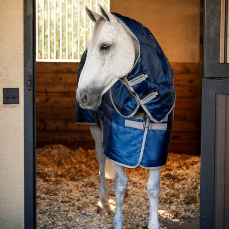 Horseware Ireland Amigo Ripstop Insulator 350g Plus Stable Rug #colour_navy-titanium-grey