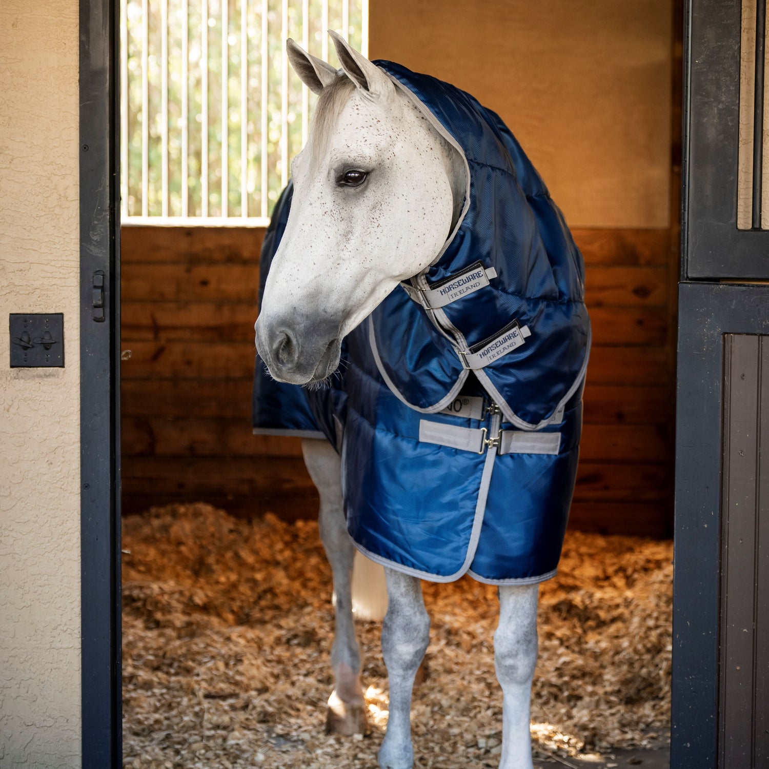 Horseware Ireland Amigo Ripstop Insulator 200g Plus Pony Stable Rug #colour_navy-titanium-grey