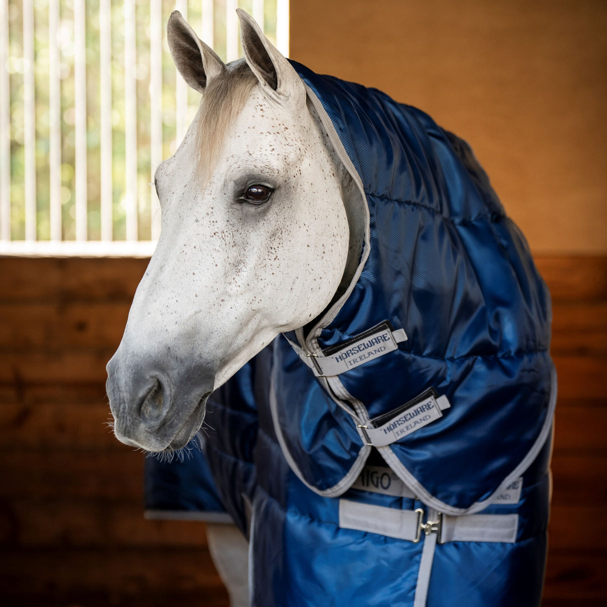 Horseware Ireland Amigo Ripstop Insulator 200g Plus Pony Stable Rug #colour_navy-titanium-grey
