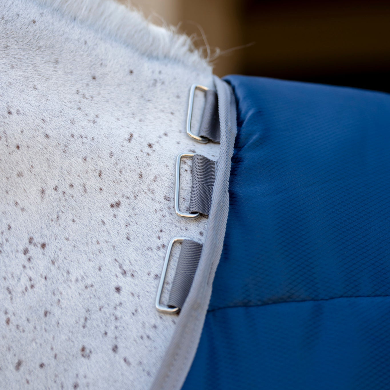 Horseware Ireland Amigo Ripstop Insulator 200g Plus Pony Stable Rug #colour_navy-titanium-grey