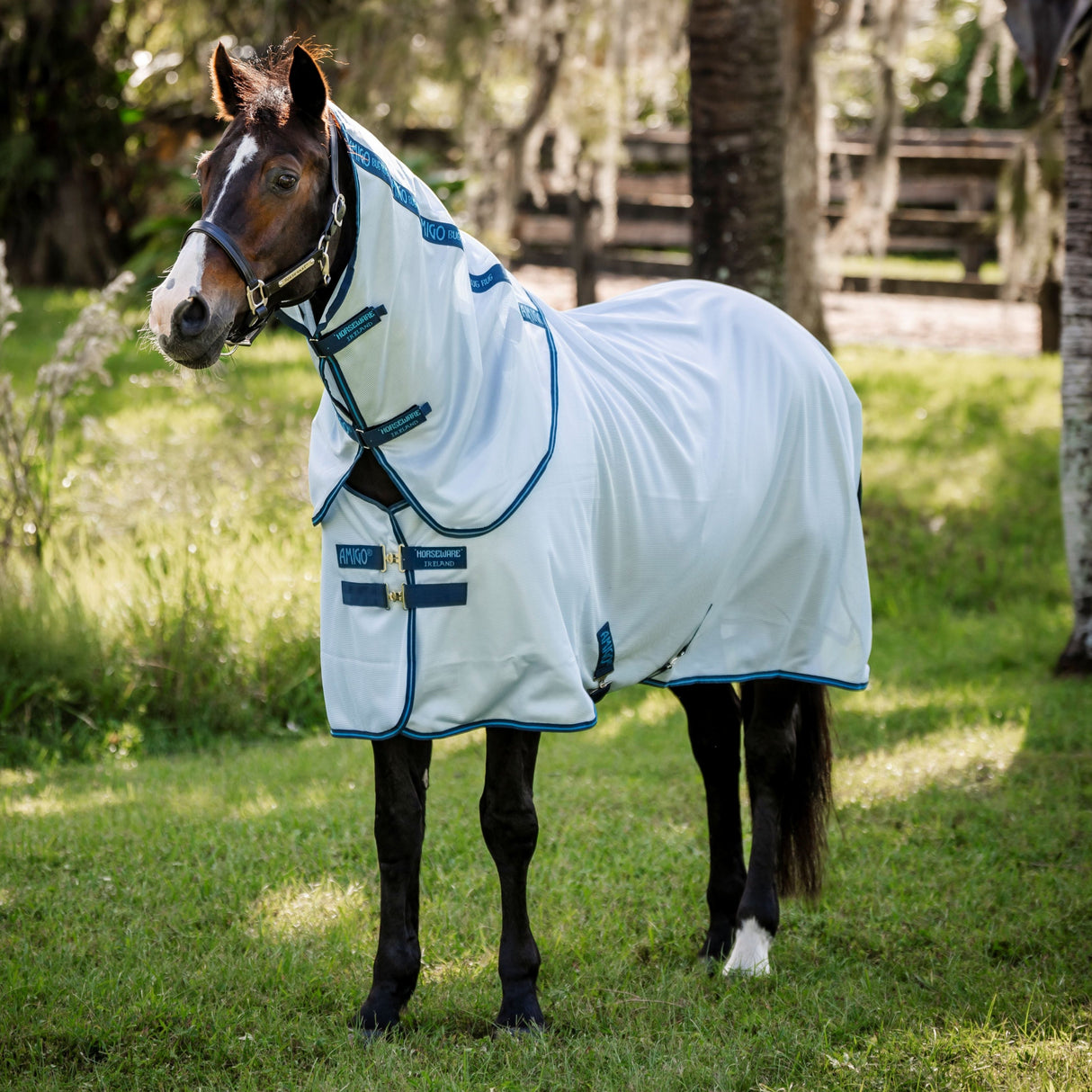 Horseware Ireland Amigo Bug Rug XL Plus #colour_azure-blue-navy-electric-blue