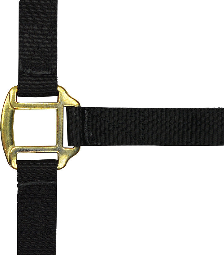 Norton Leather Lined Nylon Headcollar