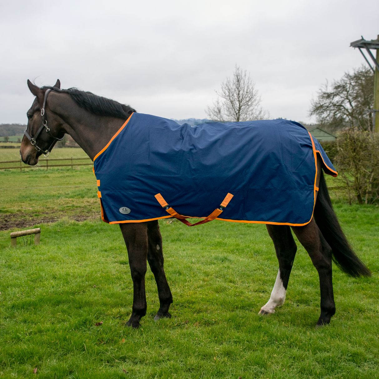 Couverture de participation GS Equestrian Standard Neck 200g