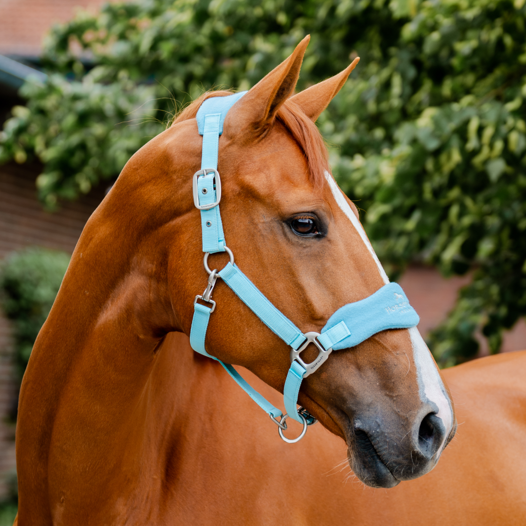 Horseware Ireland Signature Grooming Headcollar #colour_blue-haze