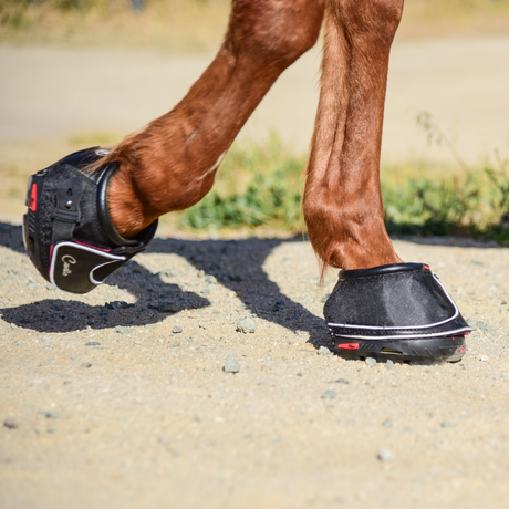 Cavallo Sport Boot Regular With FOC Hoof Pick & Brush