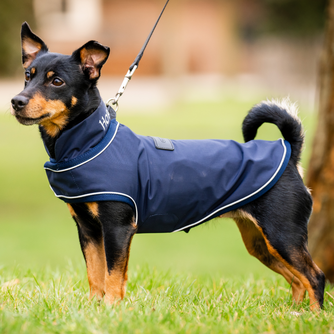 Horseware Signature Dog Rain Coat