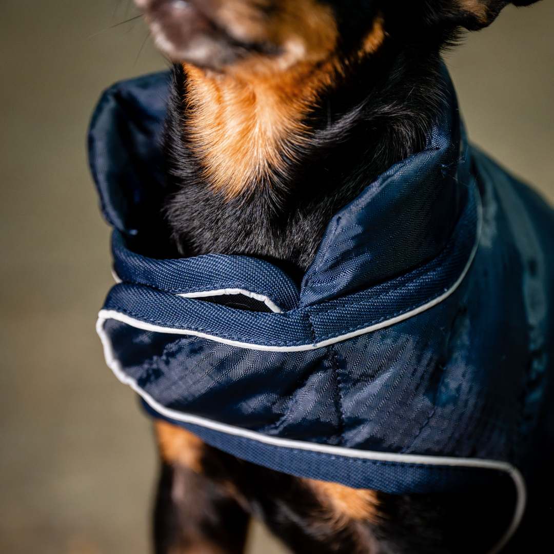 Horseware Ireland Signature Dog Rug