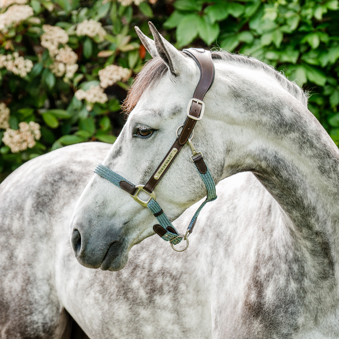 Horseware Ireland Signature Braided Headcollar #colour_brown-navy-blue-haze
