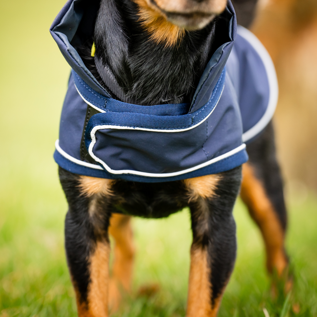 Horseware Signature Dog Rain Coat