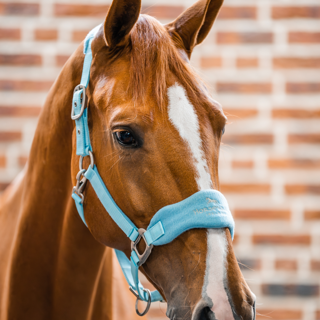 Horseware Ireland Signature Grooming Headcollar #colour_blue-haze