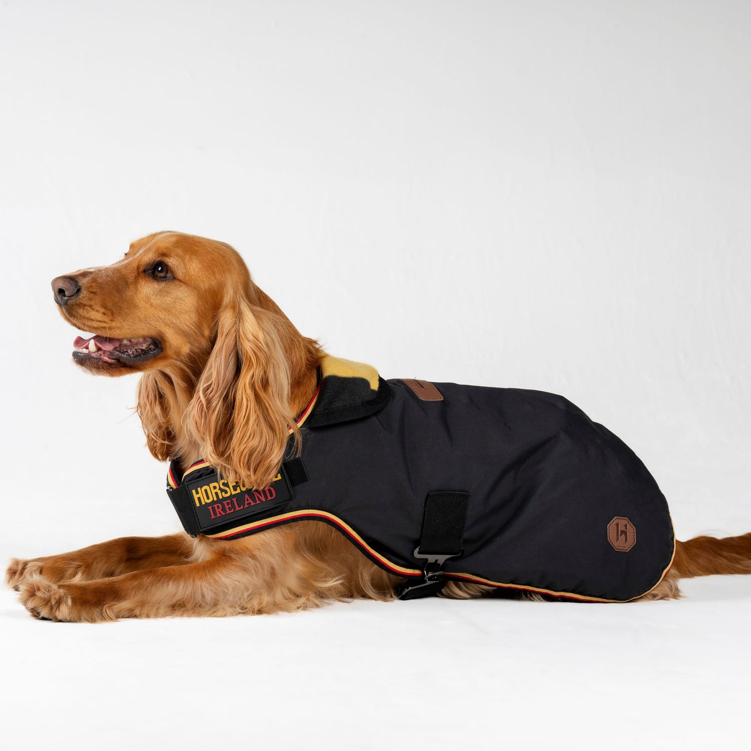 Horseware Ireland Newmarket Dog Coat #colour_witney-gold