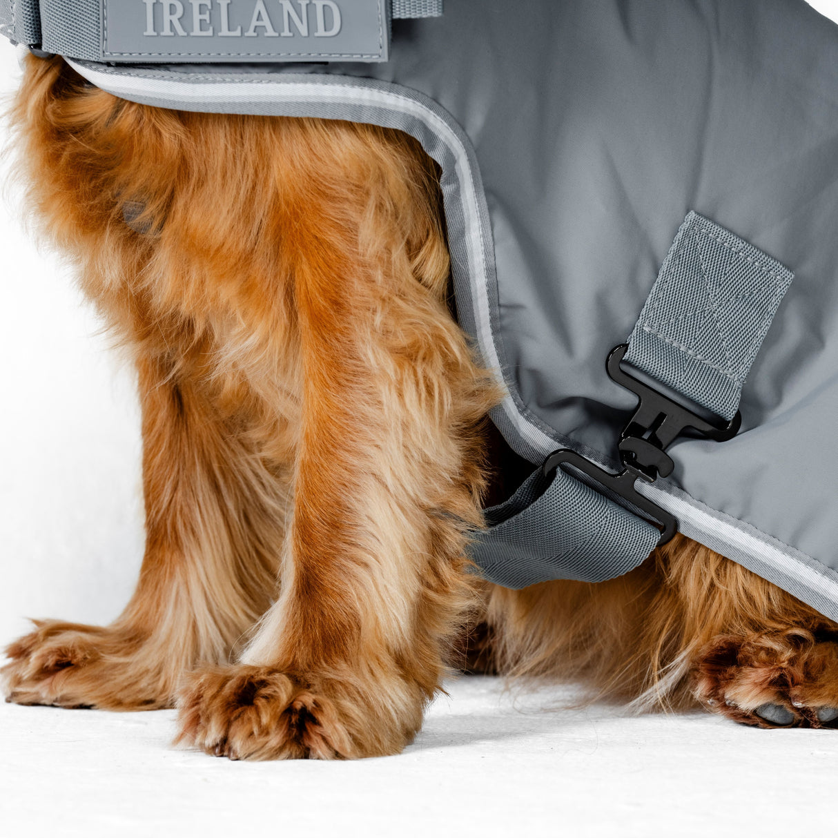 Horseware Ireland Newmarket Dog Coat #colour_witney-charcoal