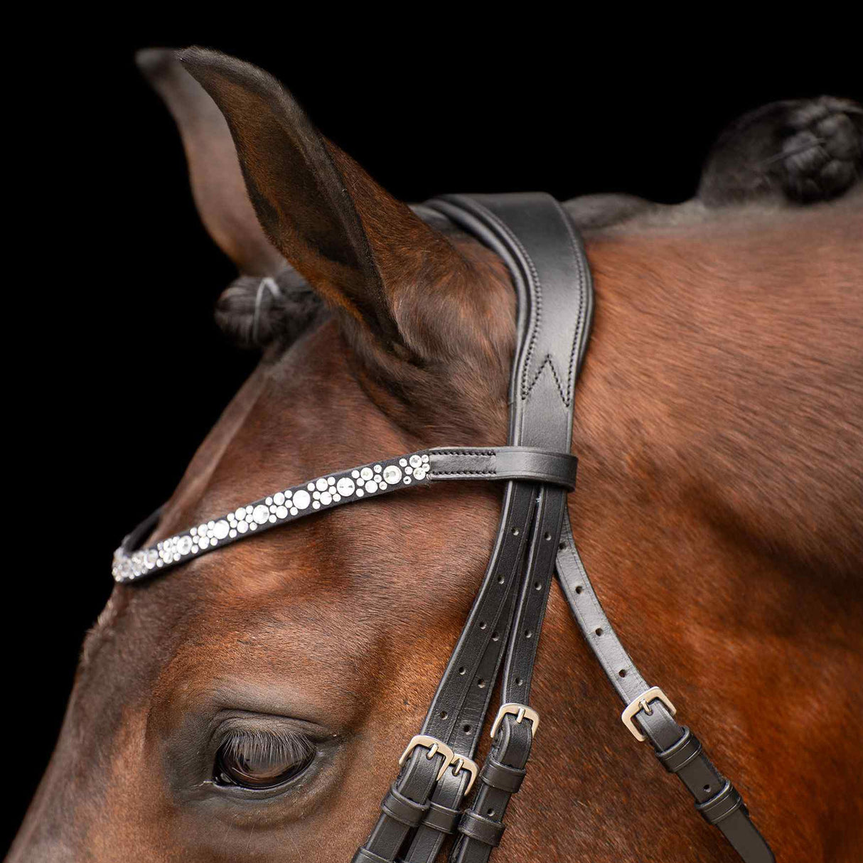 Imperial Riding Olympia Weymouth Bridle #colour_black-white