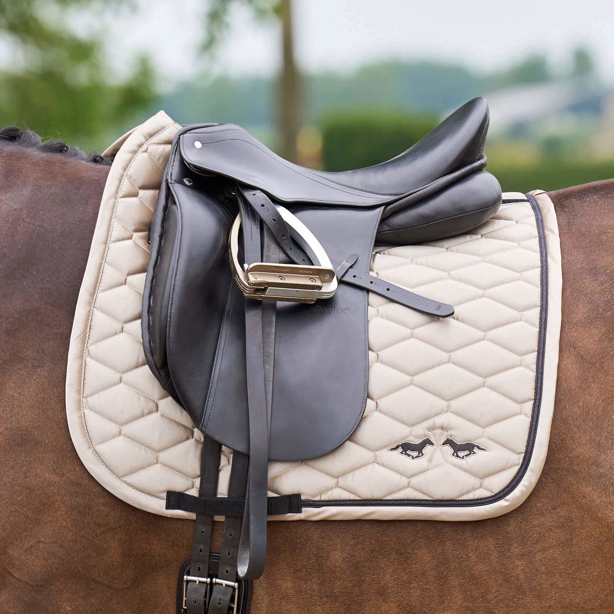 HV Polo Joan Dressage Saddle Pad #colour_cashmere