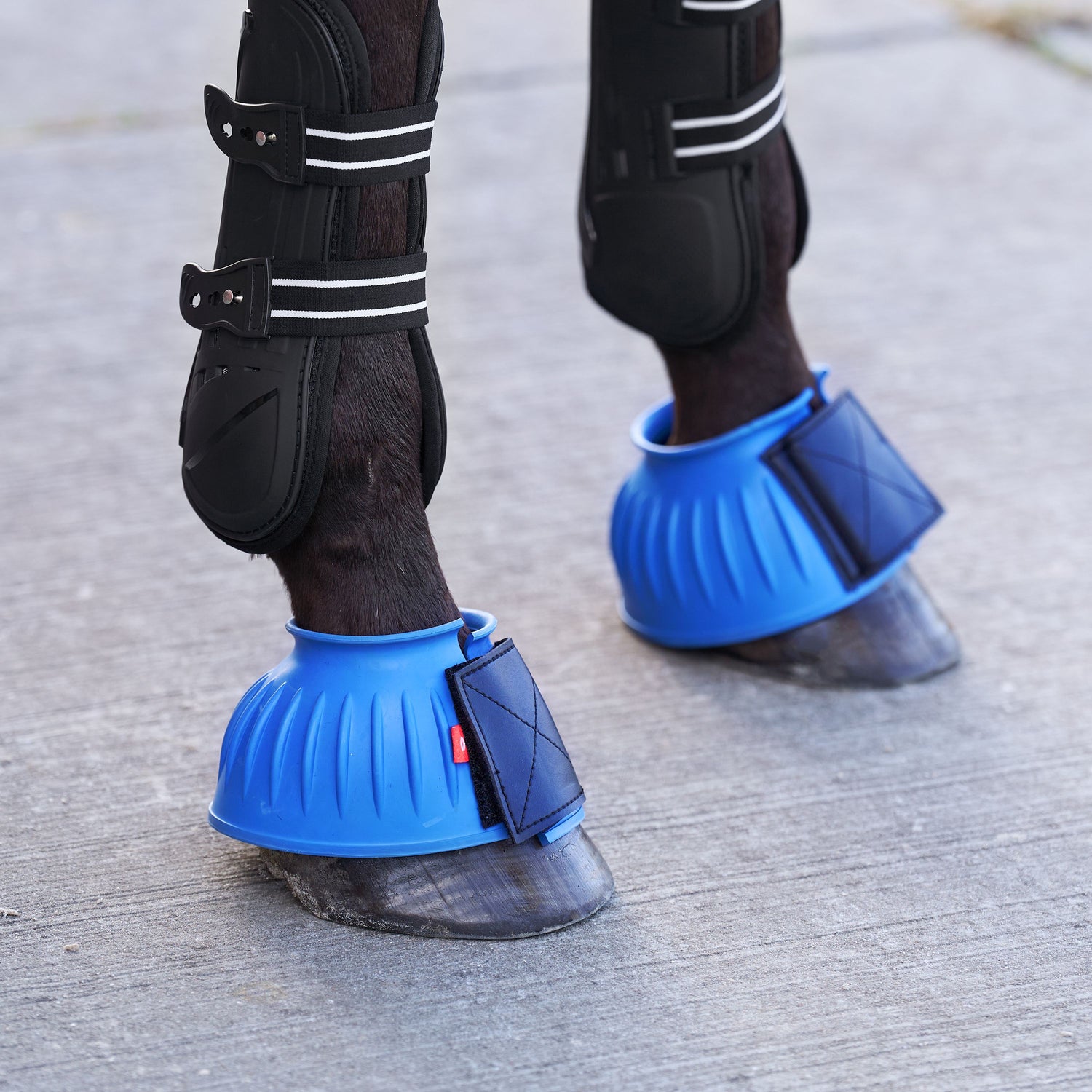 Imperial Riding Classic Rubber Bell Boots #Colour_moonstone