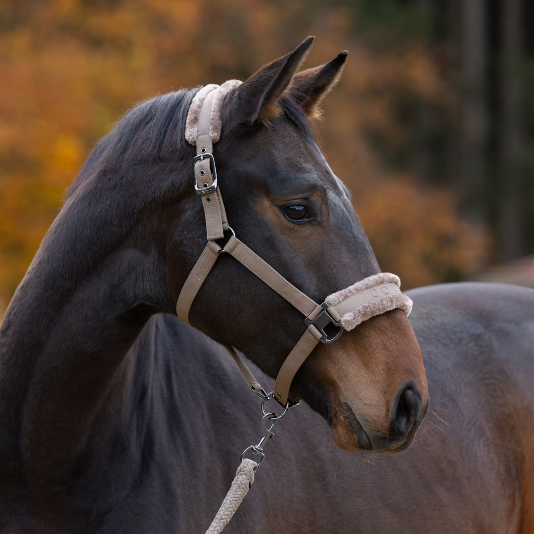 Covalliero Fleece Lined Halter #colour_taupe