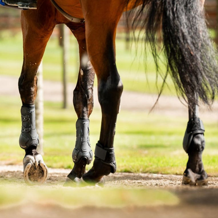 Horseware Ireland Classic Fetlock Boots #colour_black-black