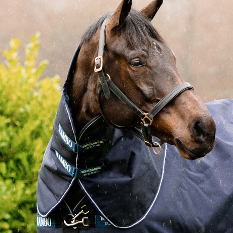 Horseware Ireland Rambo Duo Ripstop Hood #colour_navy-white