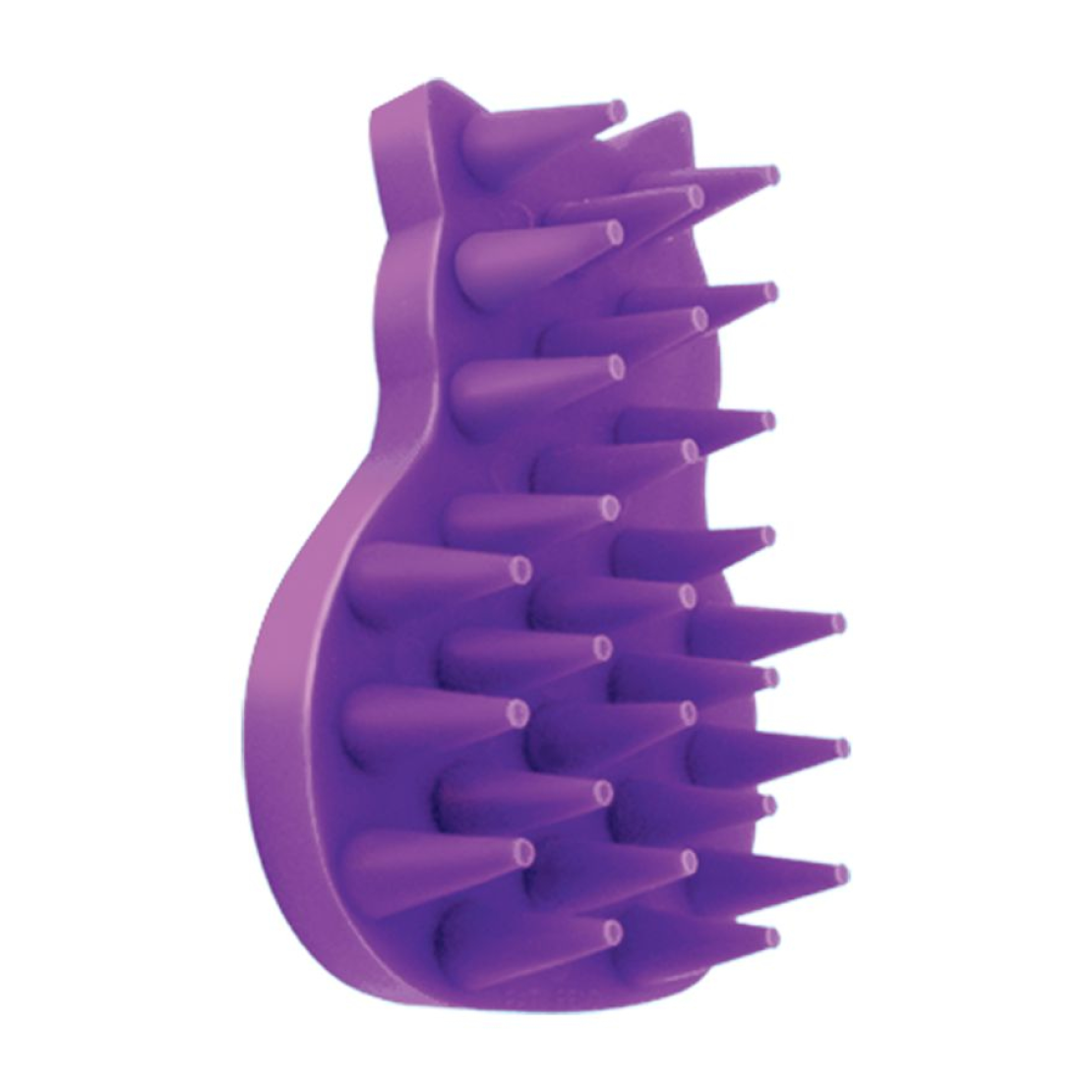Kong Cat Zoomgraom