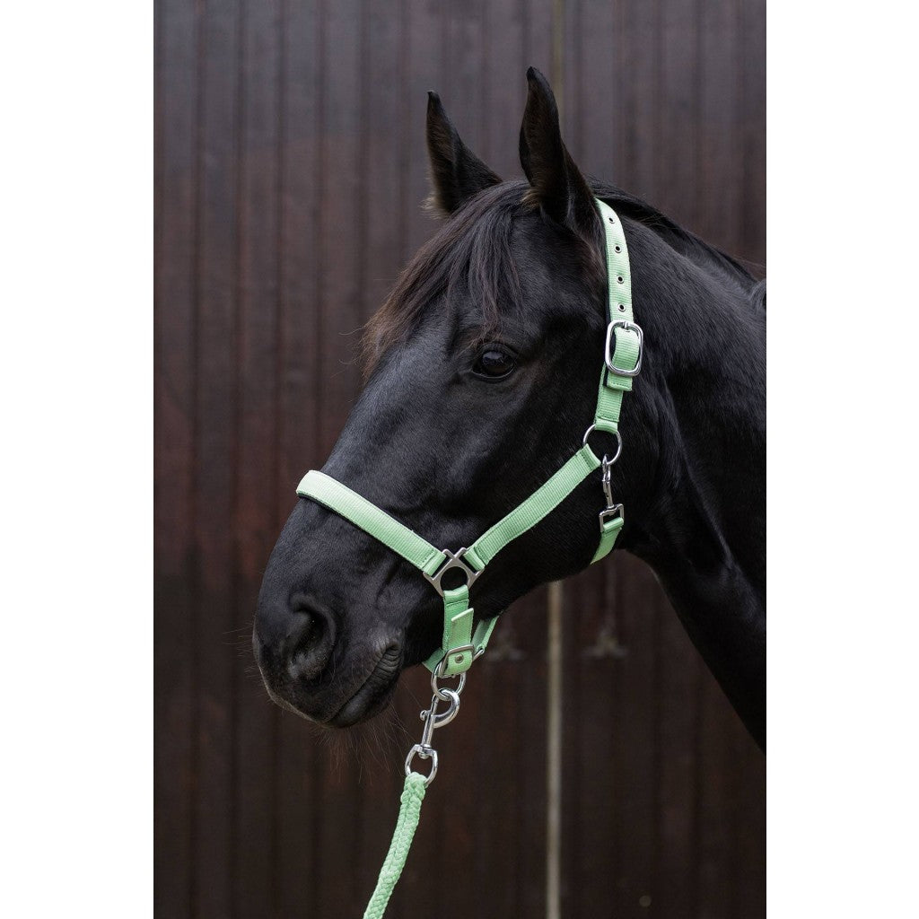 HKM Head collar -Stars Softice- with soft padding
